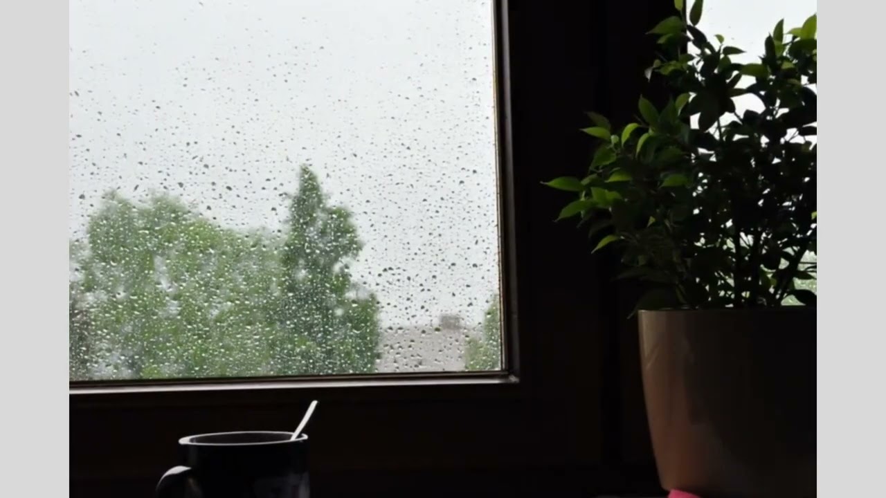 RAINY WINDOW AMBIENCE COZY CALM MOMENT