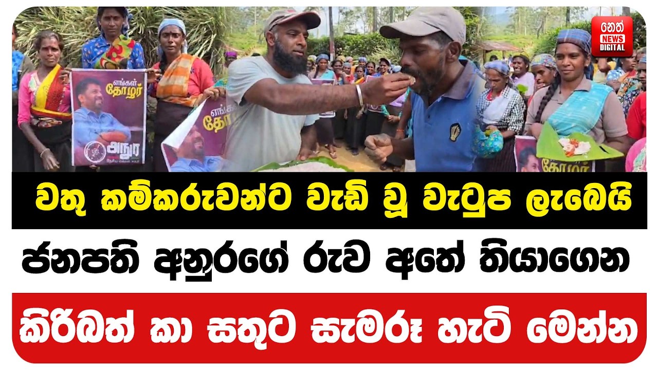 ජනපති අනුරගේ රුව අතේ තියාගෙන කිරිබත් කා සතුට සැමරූ හැටි මෙන්න