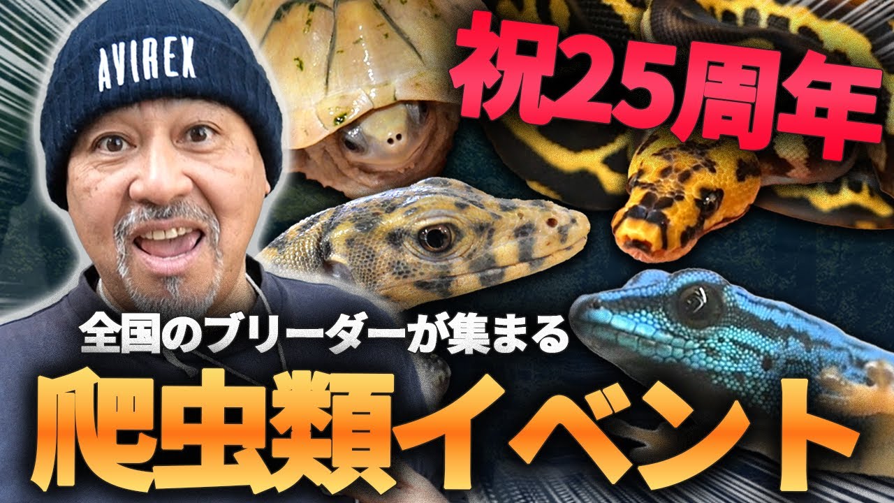 日本最大の国内繁殖のみの爬虫類に潜入しました【ぶりくら2025】