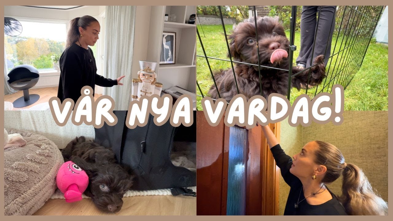 HUNDEN CHARLIE och m&aring;la den gr&ouml;na hallen. (Eng Sub)