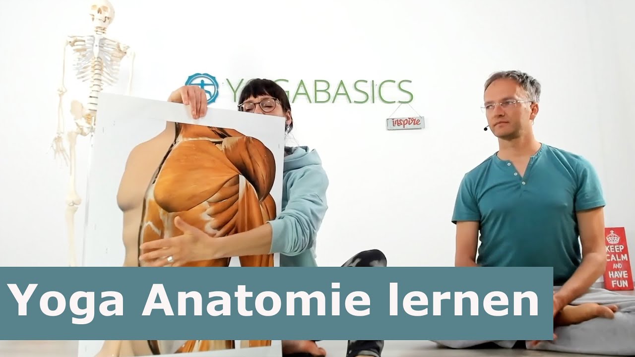 Neu: ANATOMIE ONLINE KURS Anf&auml;nger (Theorie & Praxis)