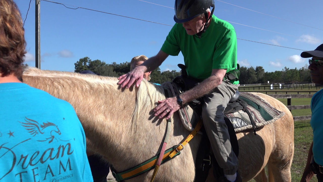 Florida Travel: Discover the Healing Power of Equine Therapy