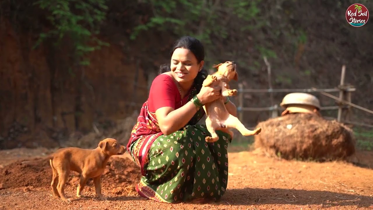 Festival Recipes | Modak | Patole | Chafekali | Shrikhand | Village Cooking | Red Soil Stories
