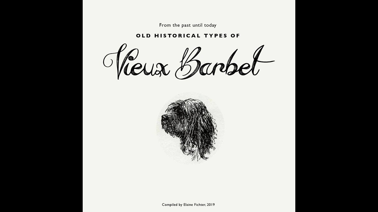 Vieux Barbet: Chien d'eau français et retriever
