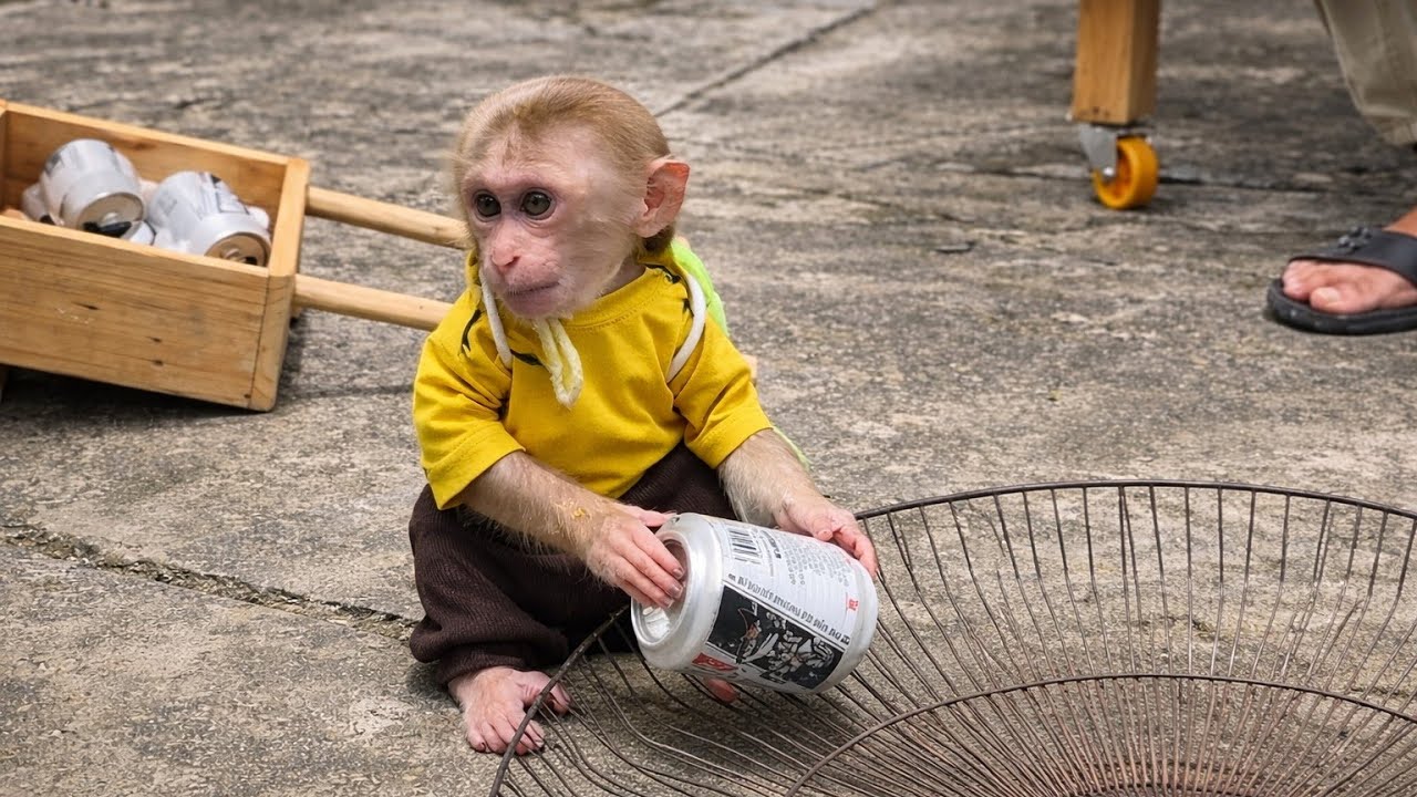 Smart Monkey Annie Saves the Day for Dad! 🐵✨ Emotional Story