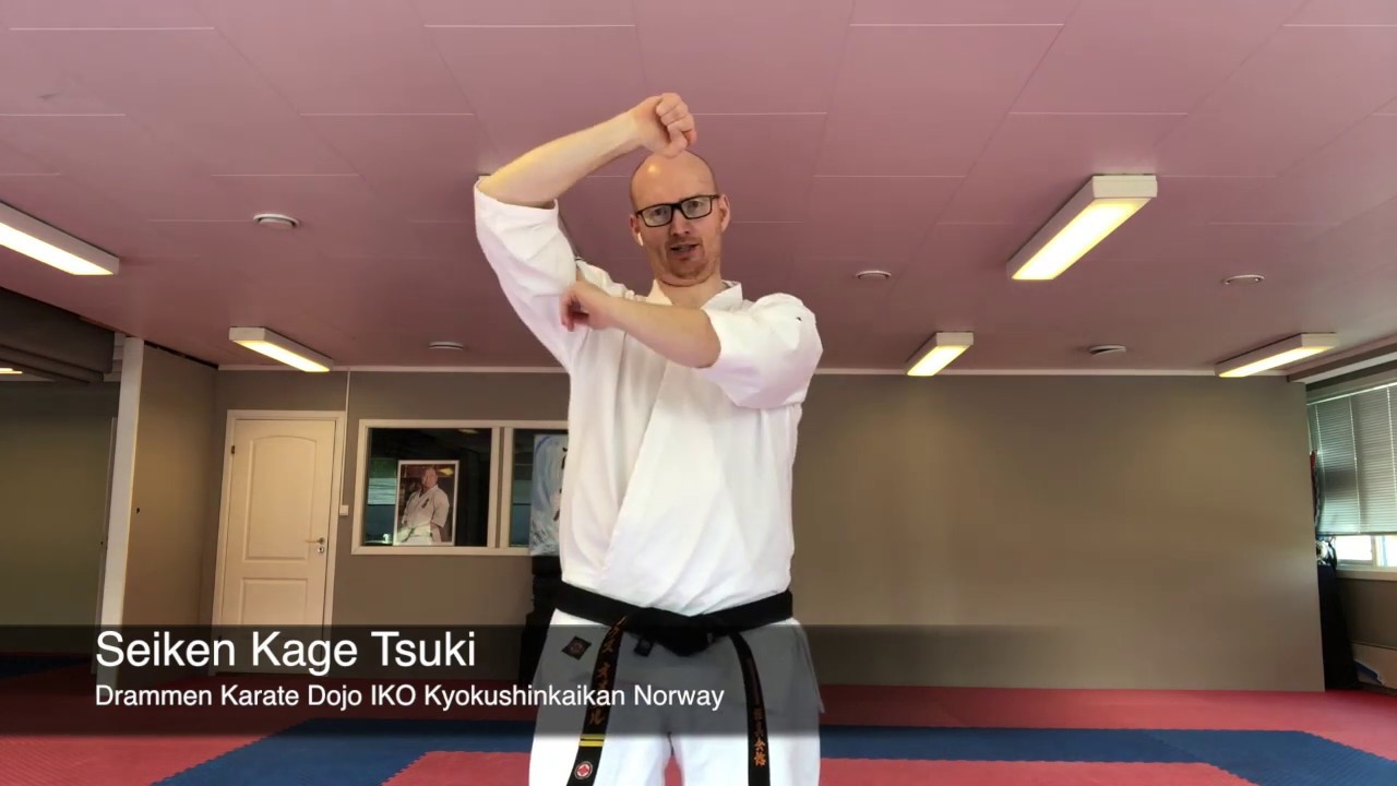 Seiken Kage Tsuki