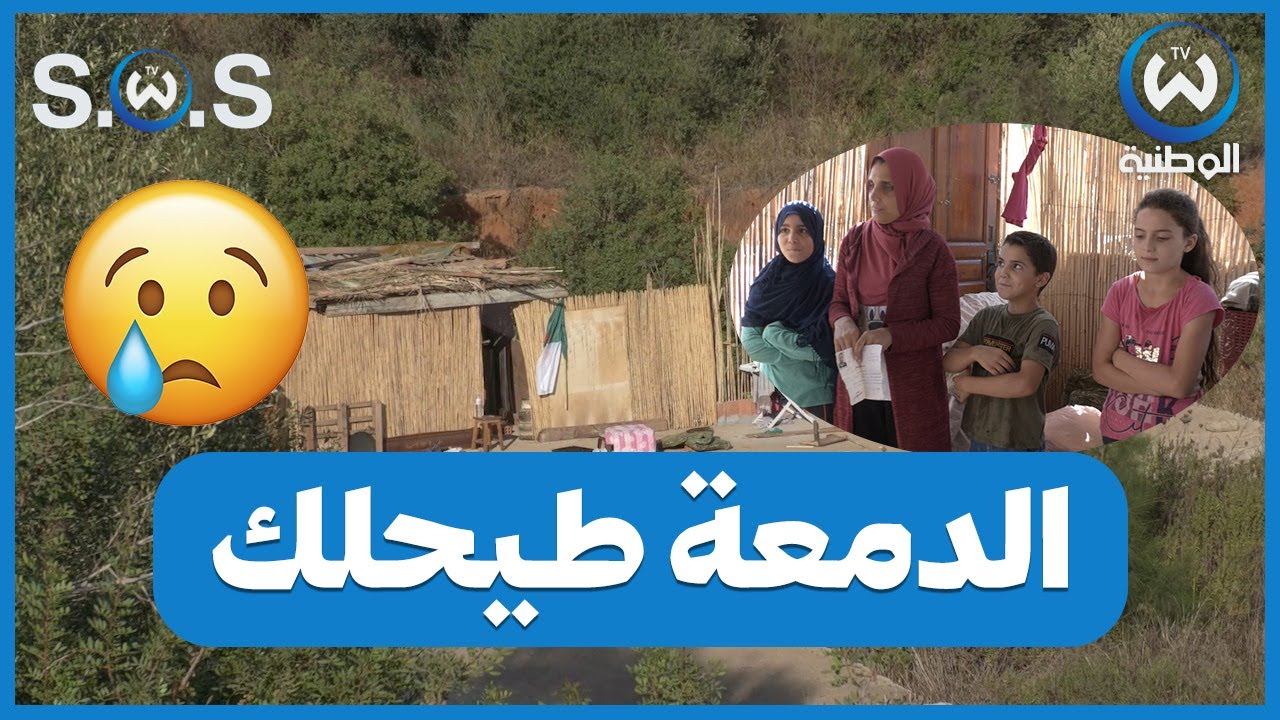 عائلة من بلدية السحاولة تسكن في براكة وسط الغابة.. شاهد القصة كاملا