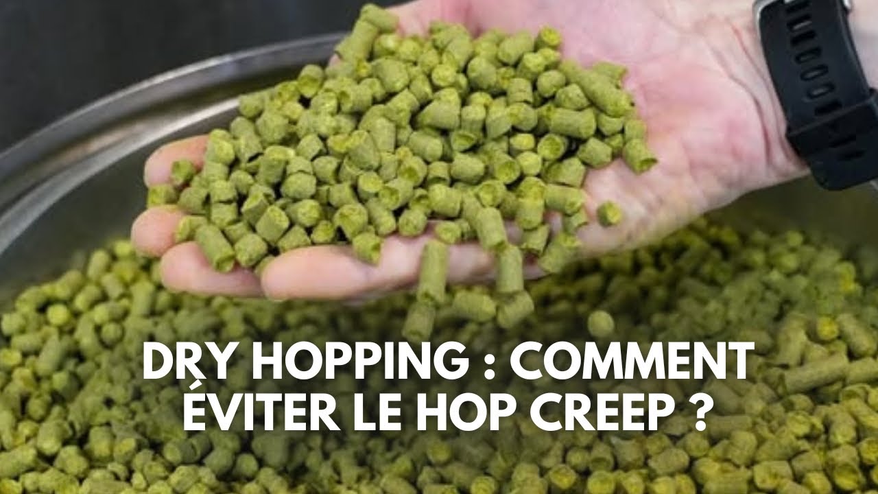 DRY HOPPING : comment éviter le HOP CREEP ? 🤔