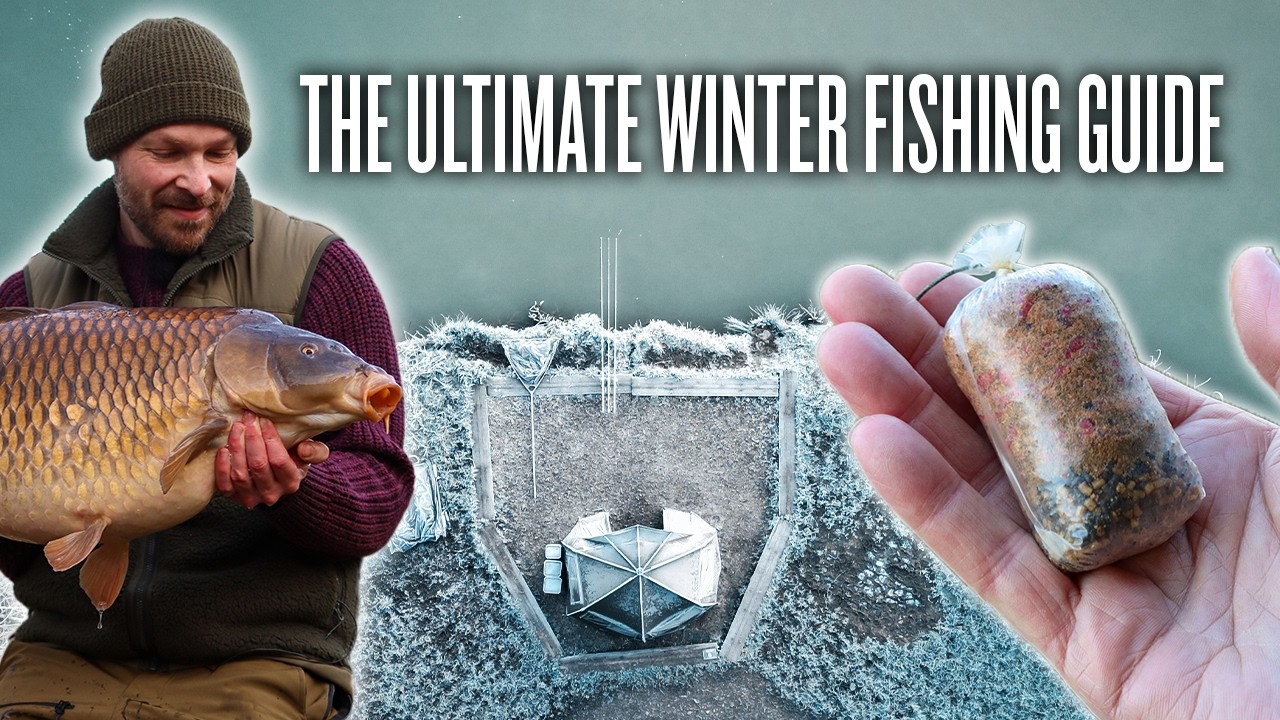 The Complete Guide To Winter Carp Fishing | Location, Rigs, Bait, Tactics, Tips and More!