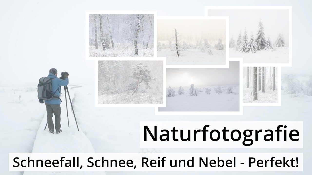 Naturfotografie: Von SCHNEEFALL, SCHNEE, REIF und NEBEL | Im Hohen Venn und in der Wahner Heide
