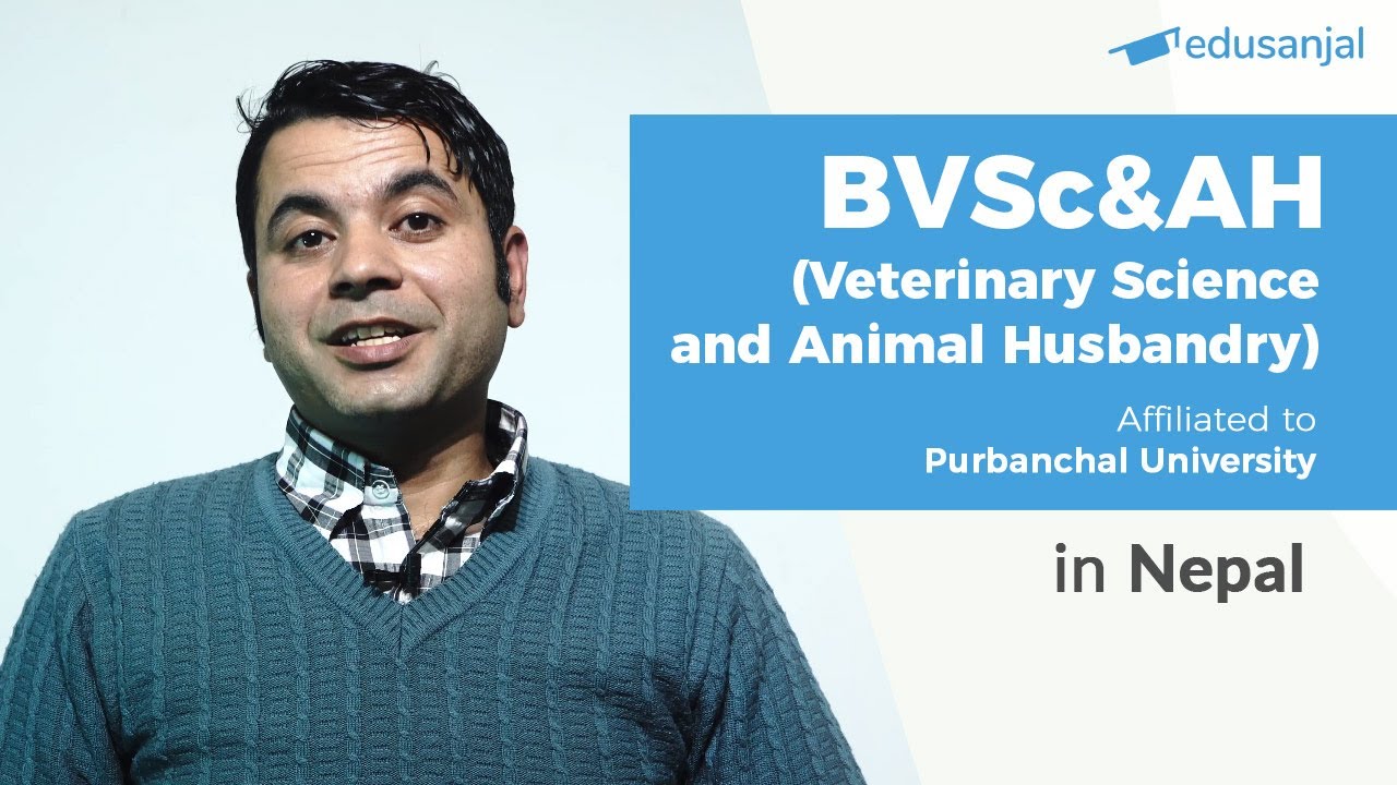 Bachelor of Veterinary Science and Animal Husbandry (Purbanchal University) | Syllabus, Cost, Seat