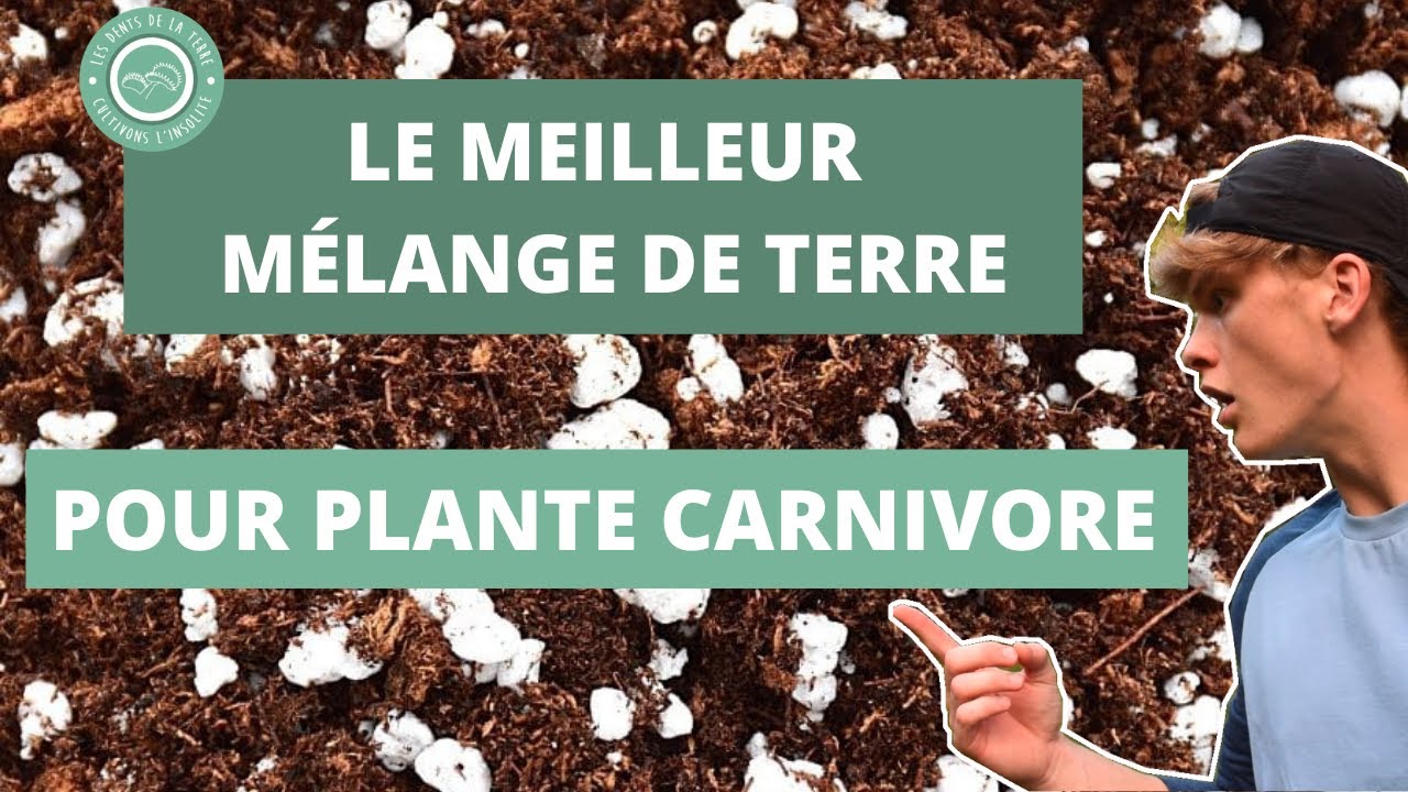 Comment pr&eacute;parer LE SUBSTRAT parfait pour Plante Carnivore ? 🌱