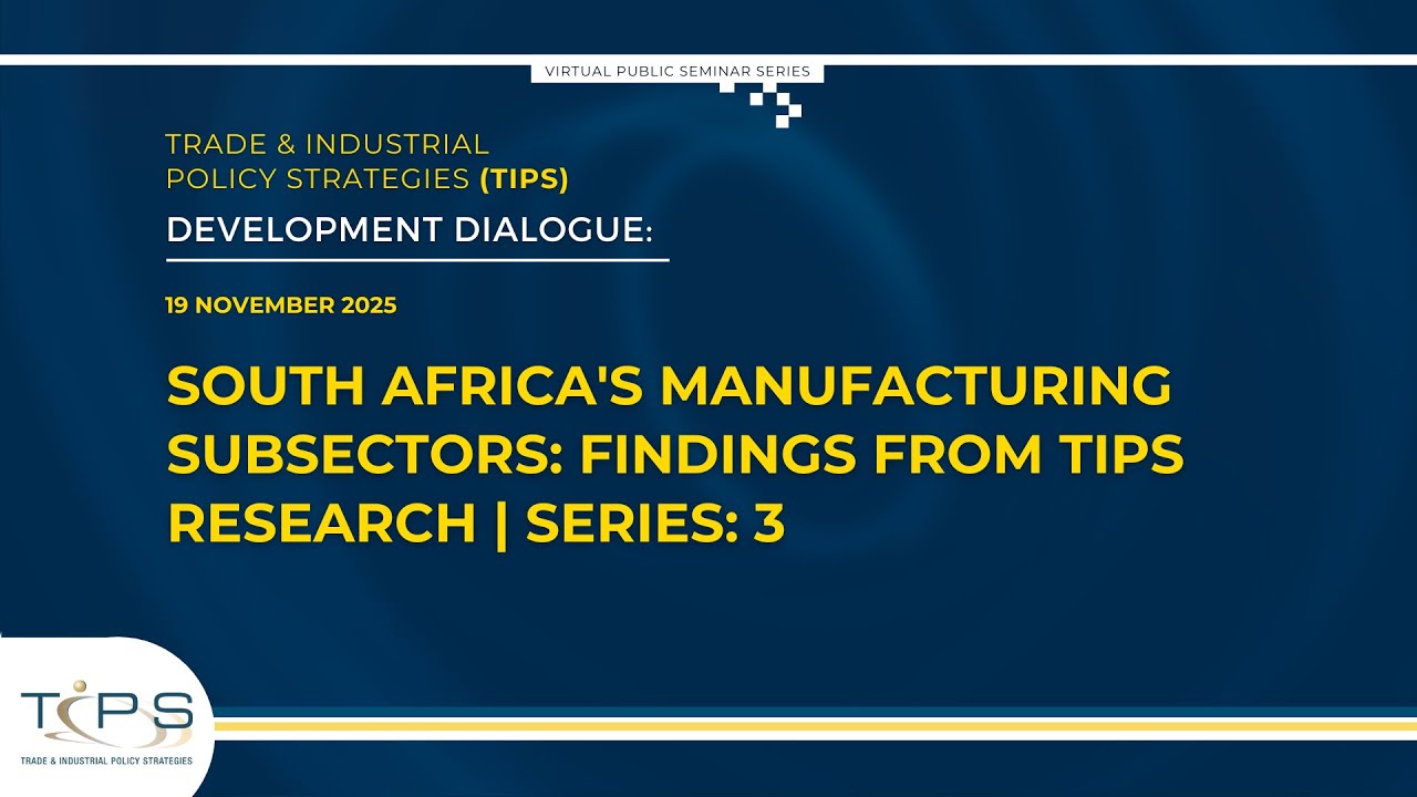 South Africa's Manufacturing Subsectors: Findings from TIPS Research | Series: 3
