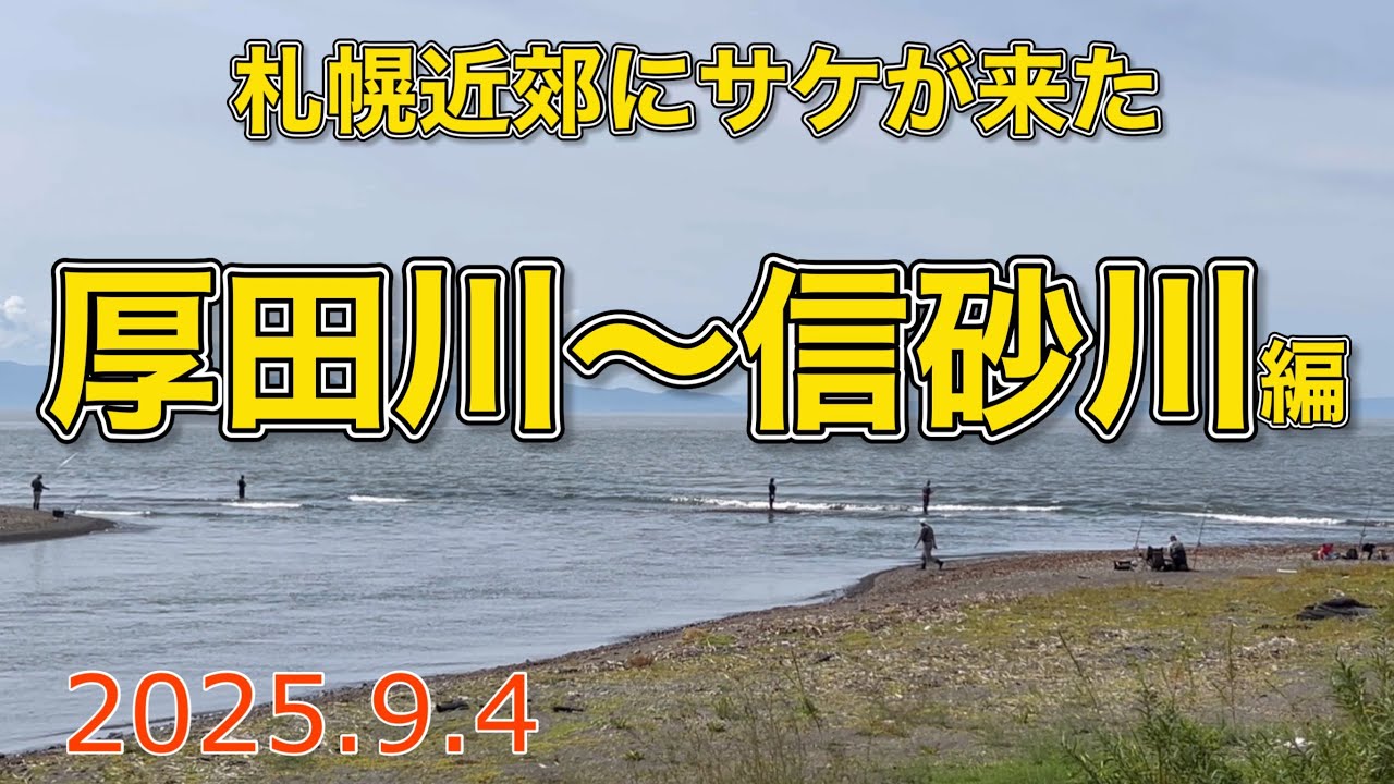 札幌近郊にサケが来た　厚田川〜信砂川編【2025.9.4】