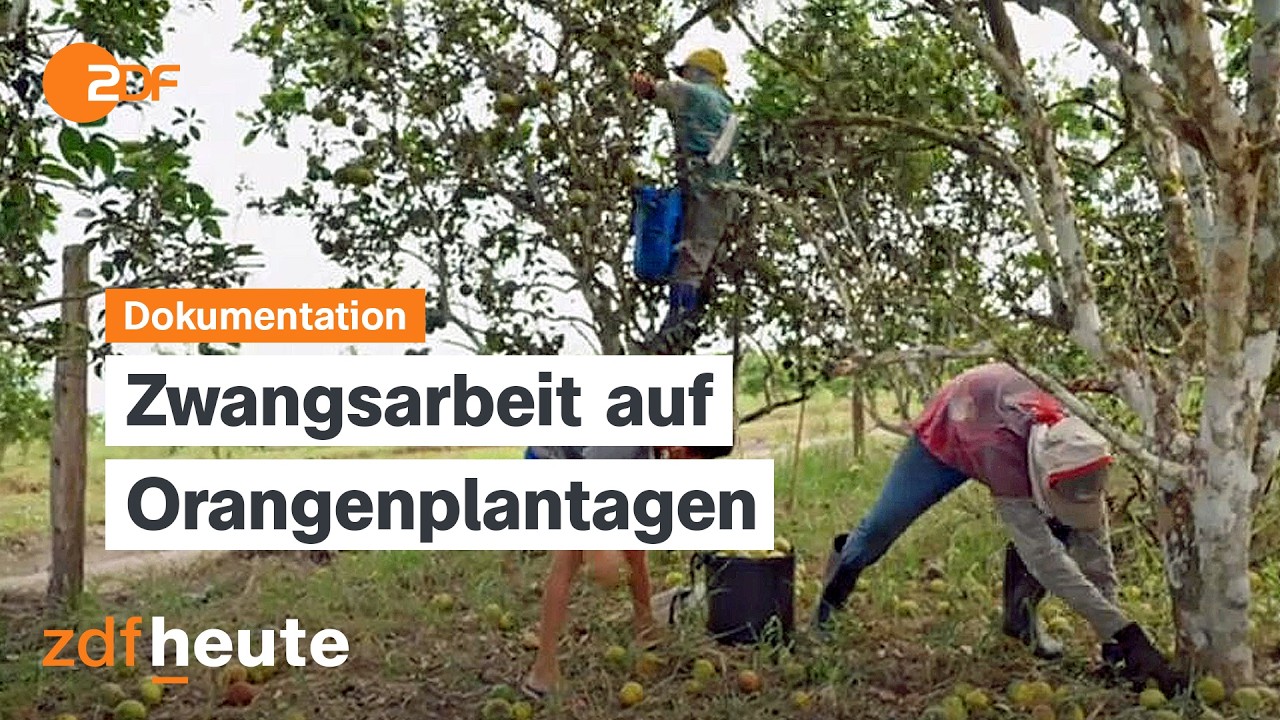 Ausbeutung und Kinderarbeit: Die Wahrheit &uuml;ber die Orangenindustrie | Dokumentation
