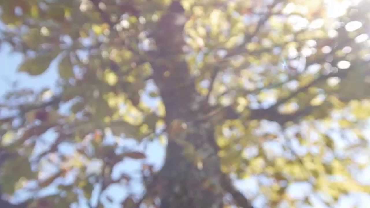 Panasonic GH2 + Zenitar 16mm