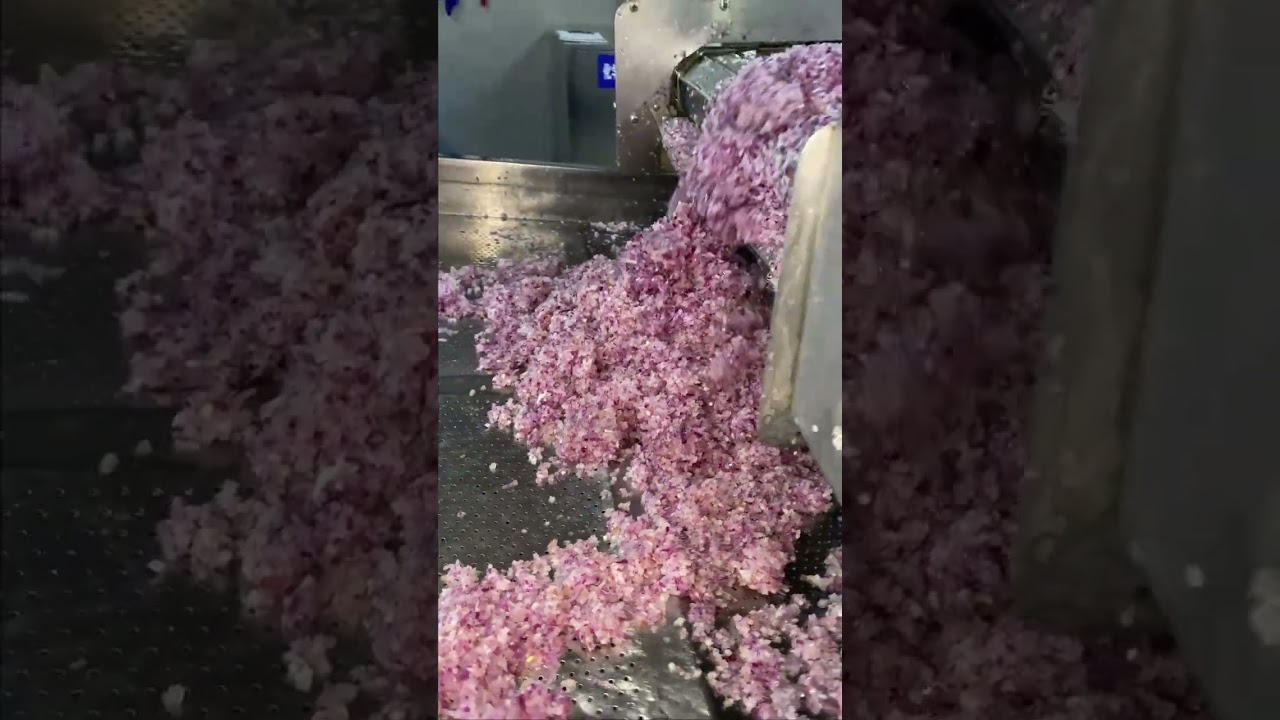 automatic cutting for onion granules 
