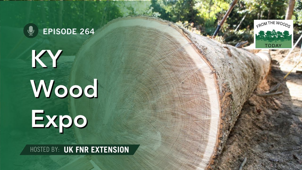 Kentucky Wood Expo  - From the Woods Today - Episode  264