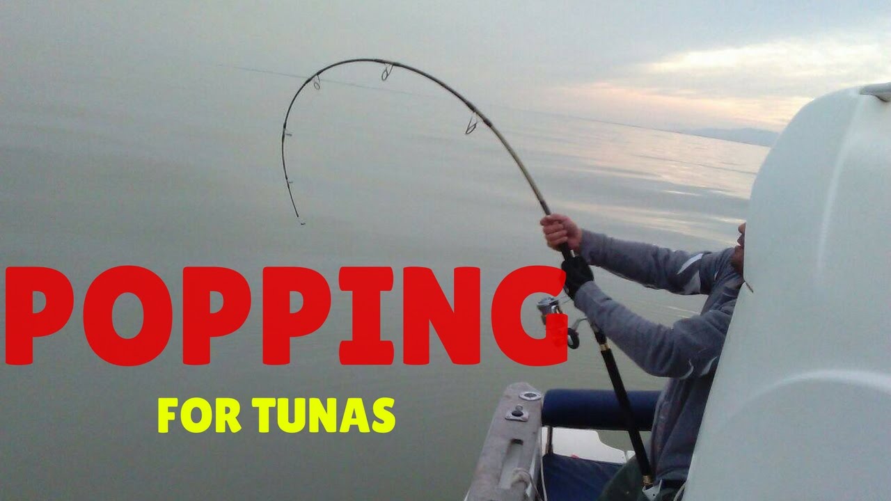 pescando a popping con Delta Game Fishing