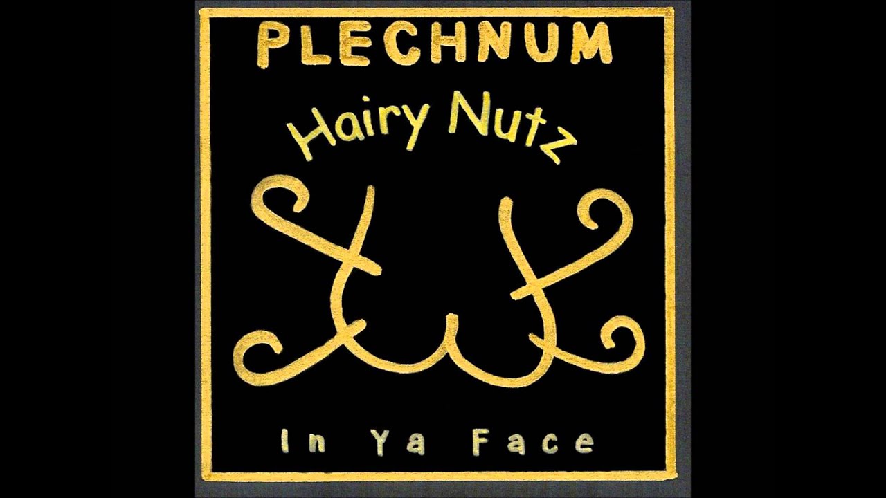 Plechnum - Tot Fisch