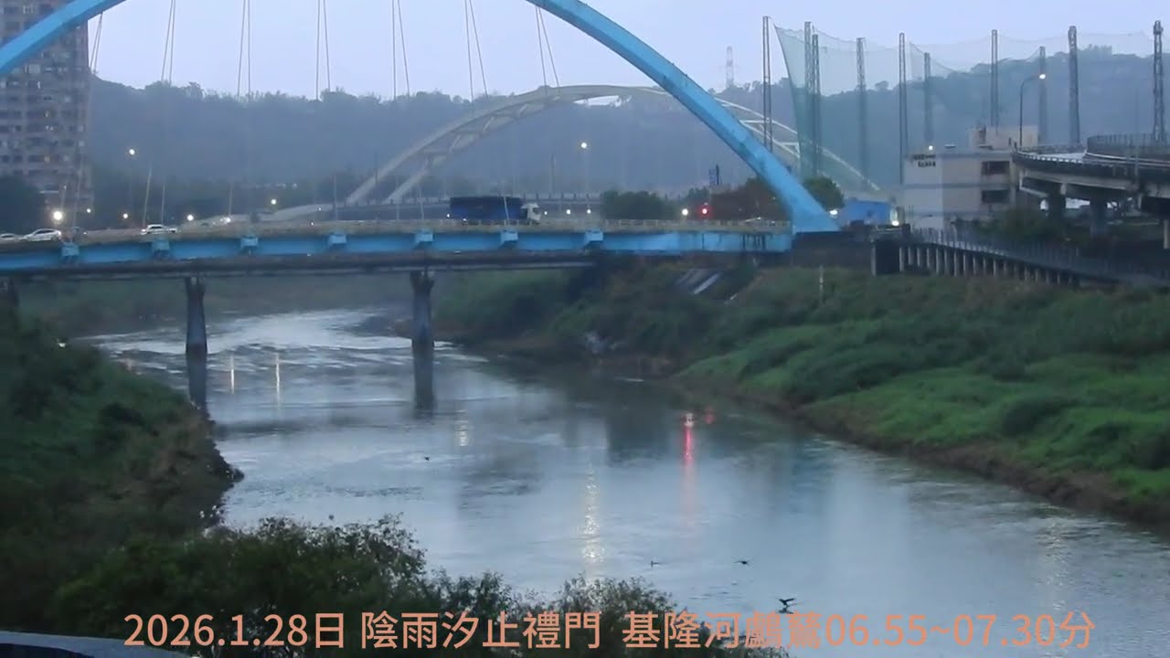 2026.1月28日 陰雨汐止禮門  基隆河鸕鶿