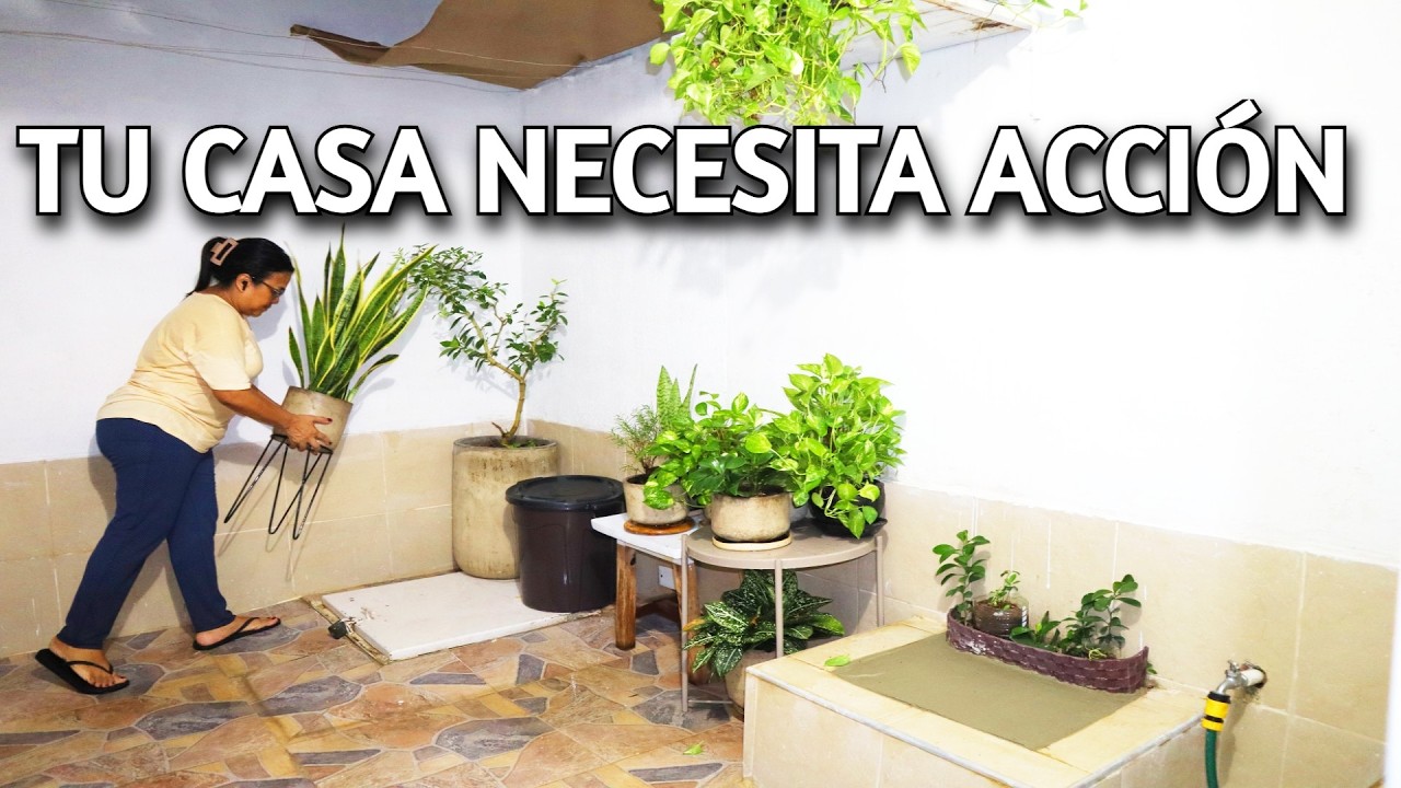 💜 DEPURA Y DESPEJA tu casa ANTES DE DICIEMBRE | ORGANIZA tu hogar ANTES QUE SE ACABE EL AÑO | TIPS