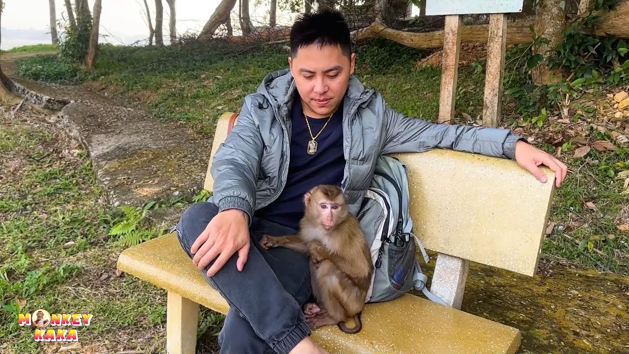 Monkey Kaka wants dad to hug him because her's shivering in the cold