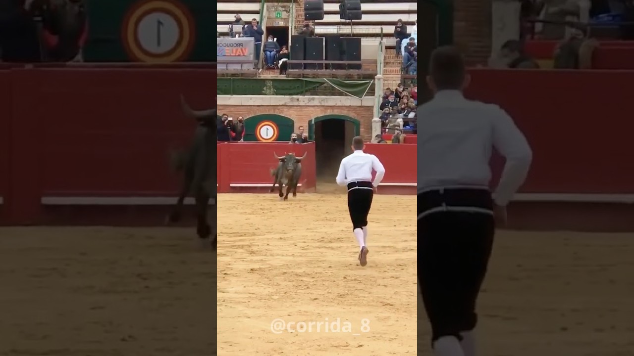 #Bullfighting#SpanishBullfight#Matador#SpanishCulture#SpainTradition