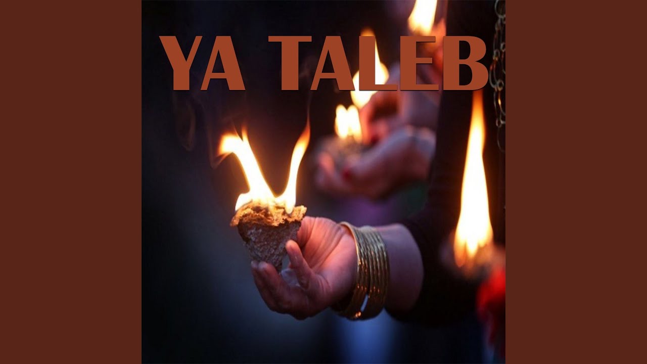 Ya Taleb