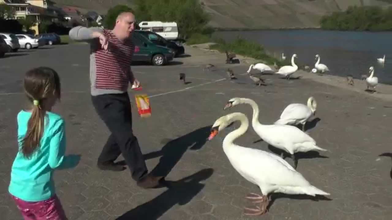 Прикол.Sehr lustig