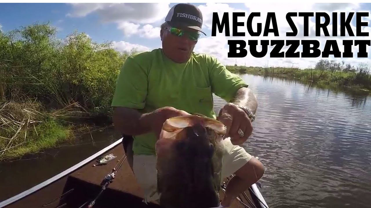 Mega Strike Buzz Bait for BIG BASS