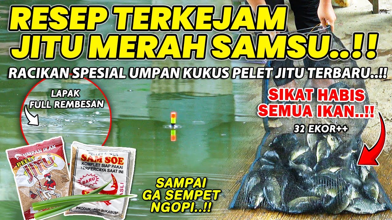 TERKURAS HABIS SEMUA IKAN DI EMPANG !! RESEP UMPAN TERLARANG PELET JITU SAMSU PENGURAS EMPANG ❗❗