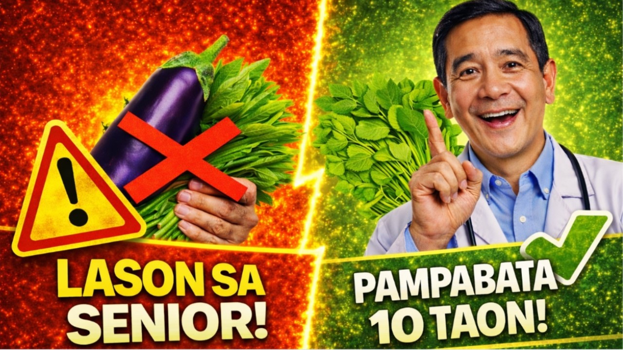 🚨 BABALA 3 Gulay Na Lason Pala Sa Mga Senior! Kainin Ang 3 Ligtas Na Ito Para Bumata ng 10 Taon