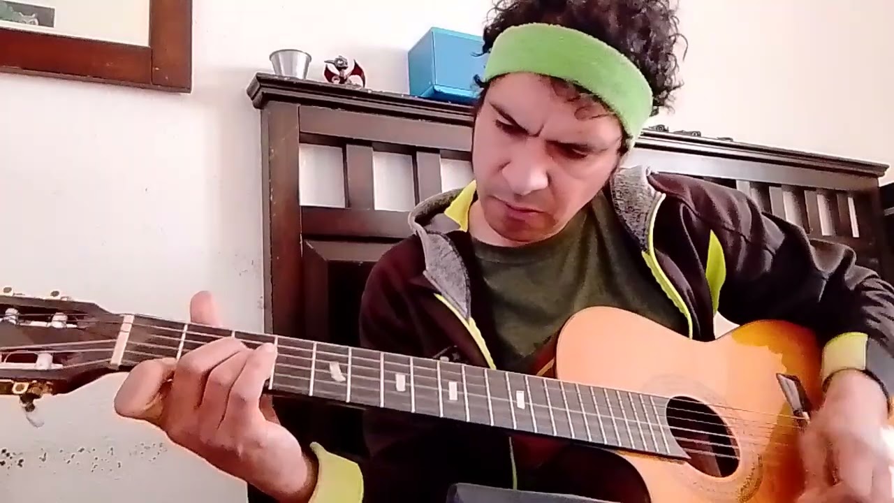 ABBA - the winner takes It all - guitar cover 
