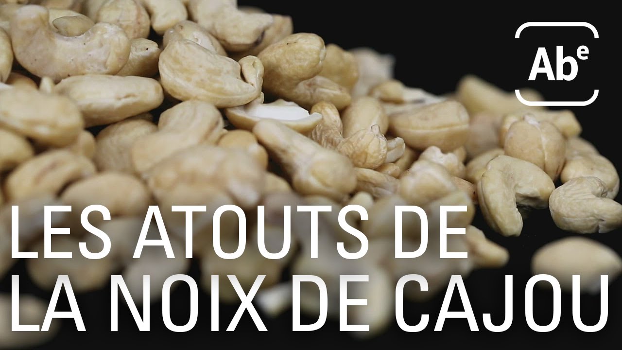 A Bon Entendeur | La noix de cajou, l’atout des régimes véganes