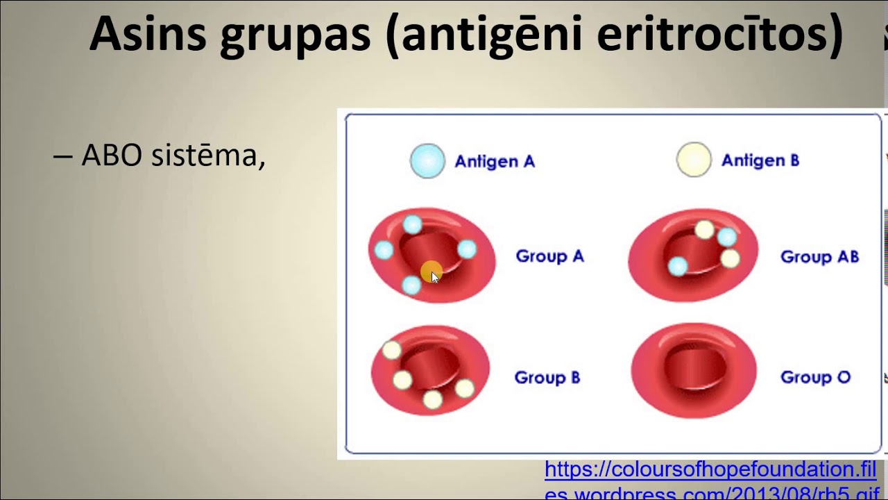 Bioloģija 9. klasei. Asinis.