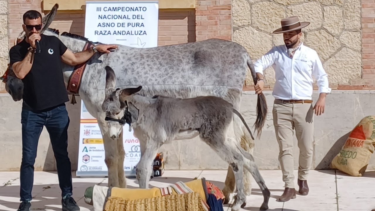 ASNOPRA 2026: 2.800 escolares recibidos por los ganaderos en el Rectorado, Córdoba