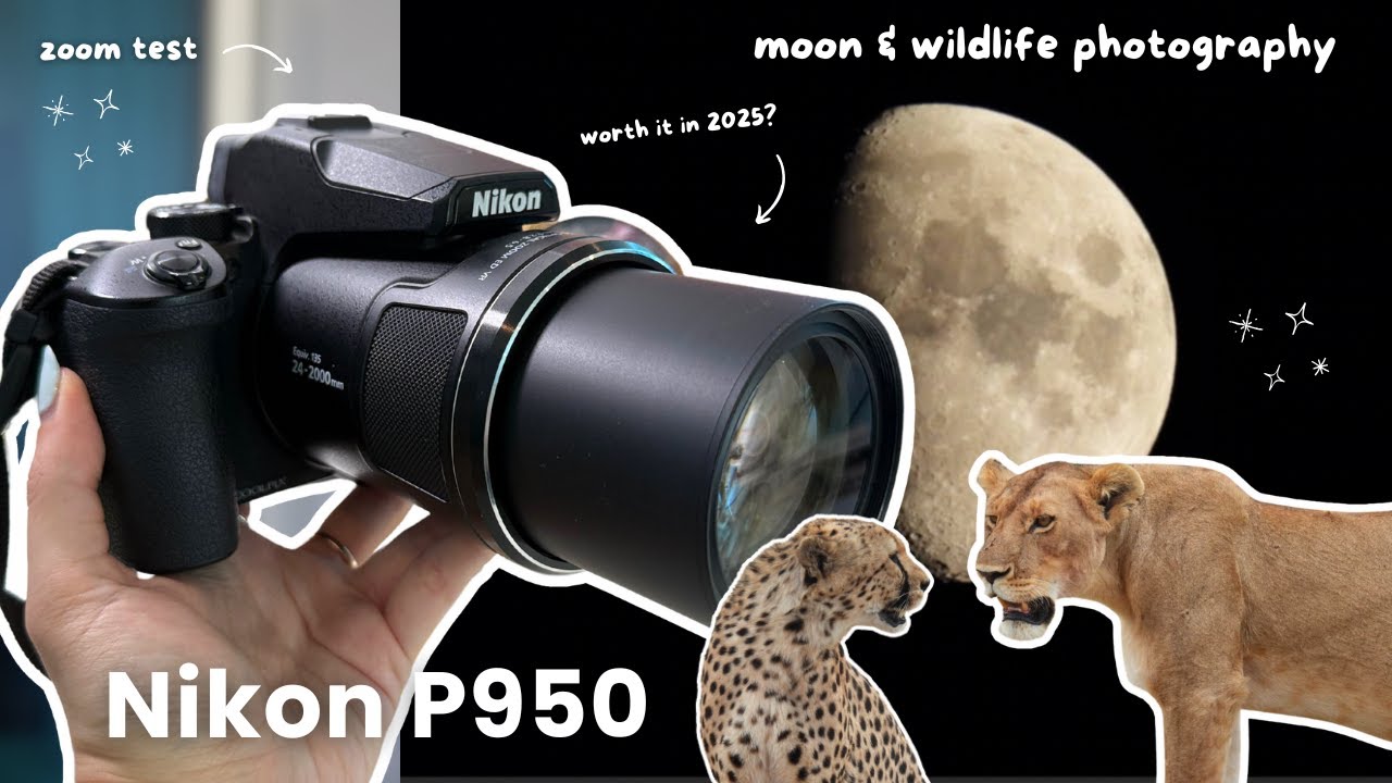 I filmed the Moon and Safari wildlife with Nikon P950🦄🪐 camera test & aesthetic overview