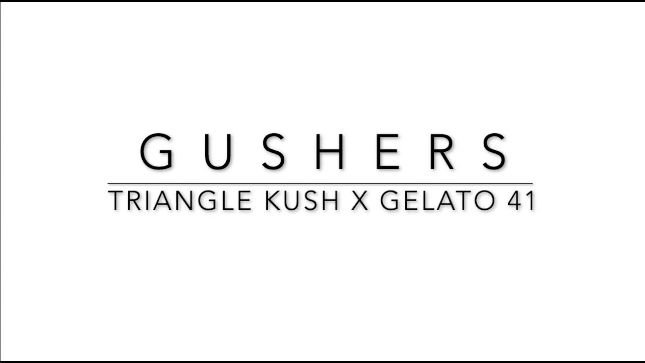Gushers By Connected
