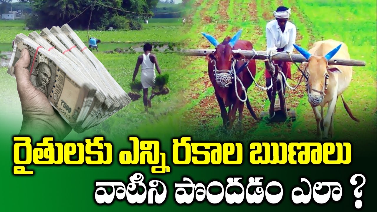 How To Get Farmer Loans From Banks || Types Of Farmer Loans || Agriculture Loans || SumanTV Rythu
