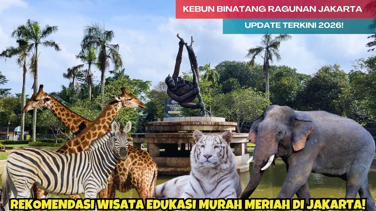 UPDATE‼️KEBUN BINATANG RAGUNAN 2026 | KEBUN BINATANG RAGUNAN JAKARTA | INFO LENGKAP TIKET DAN WAHANA