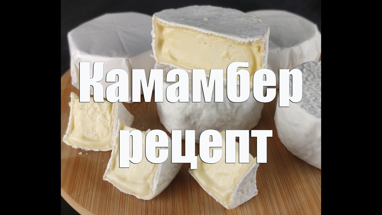Сыр  Камамбер в домашних условиях