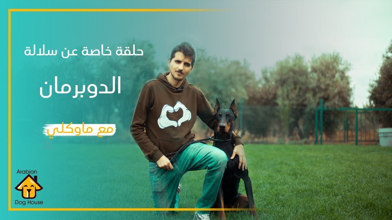 V#57 - الحارس الدوبرمان و تدريباته.  و تقييمه برأي ماولكي