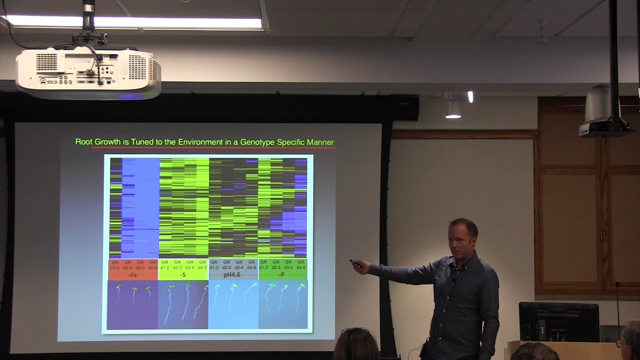 Wolfgang Busch: To Grow or Not to Grow - What Makes Roots Respond to Environmental Signals?