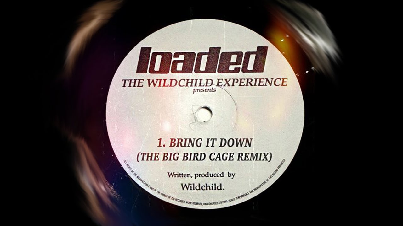 BRING IT DOWN (THE BIG BIRD CAGE REMIX) THE WILDCHILD EXPERIENCE
