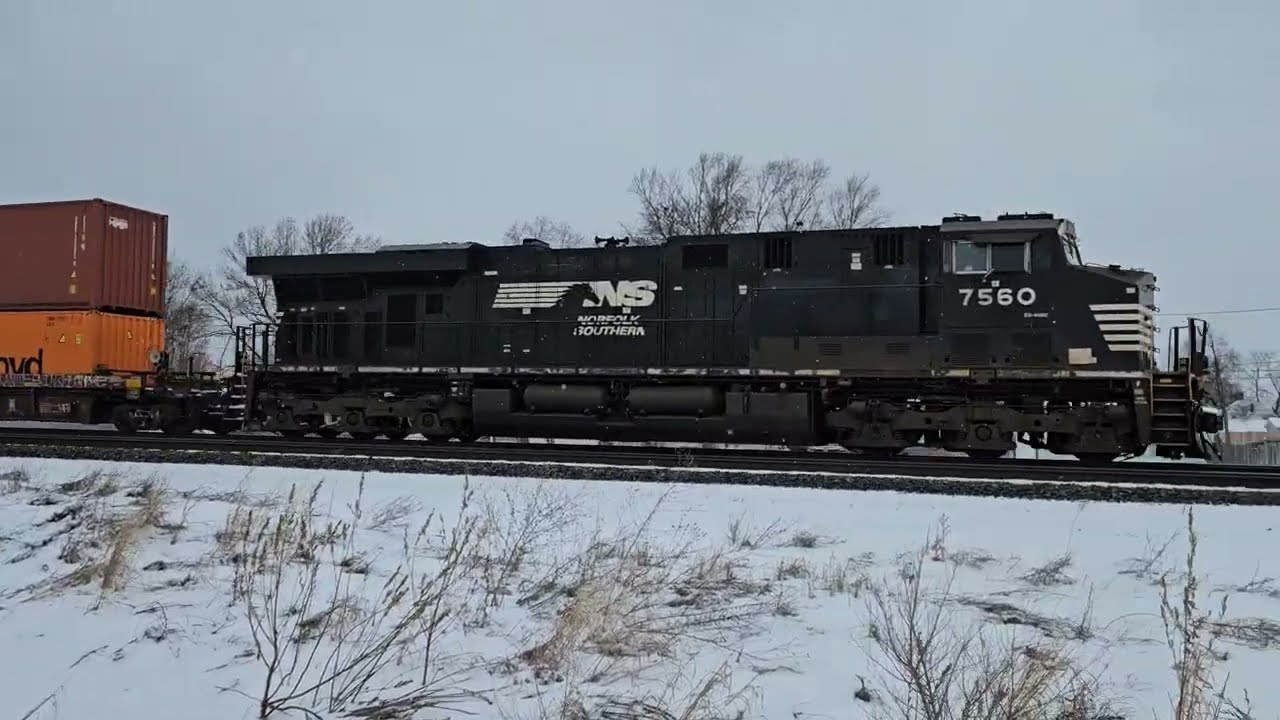 NS 256