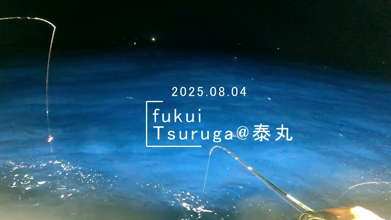 イカ爆再び 序盤水深33m　敦賀、泰丸さん　2025/08/04半夜便にて　＃イカメタル　＃泰丸