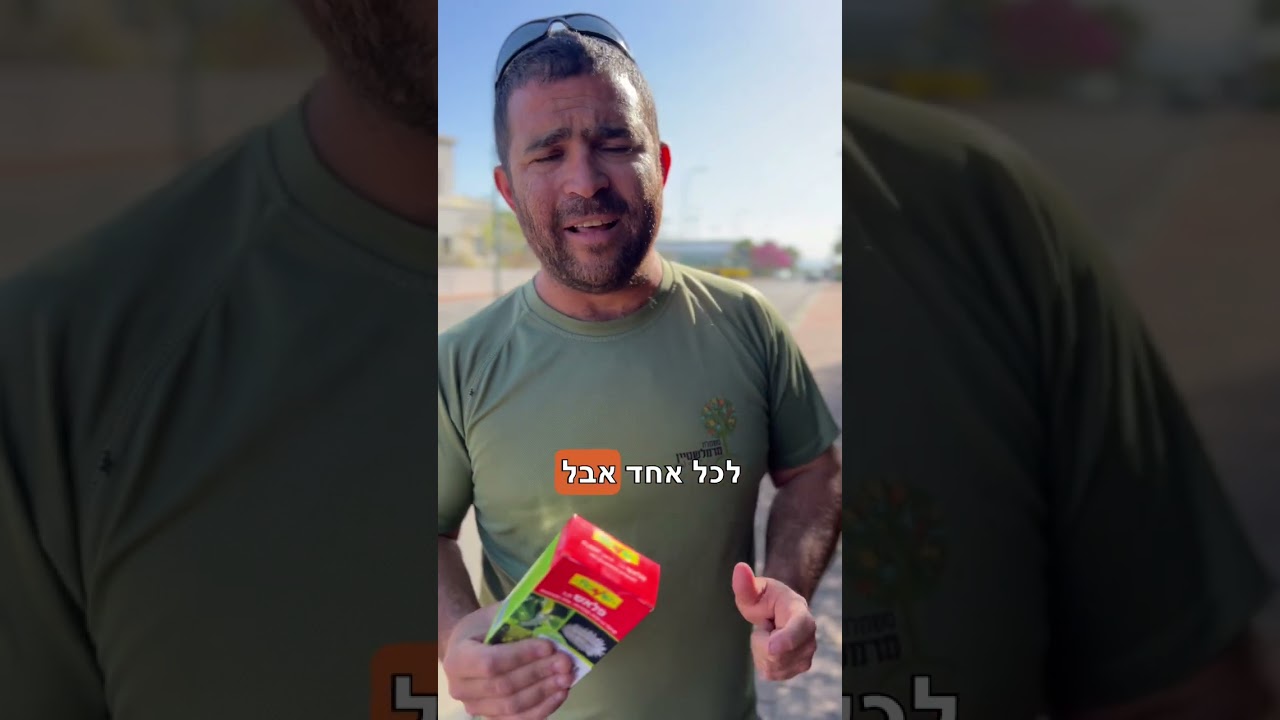 נמאס לכם שעץ המנגו שלכם מלא פייחת. שכל הריצפה שחורה ודביקה. זה בדיוק הזמן לטפל בבעיה הזו