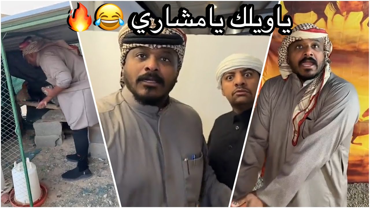 سنابات سلوم بطي | روك صار يربي دجاج 🤣🐓 راح فيها مشاري ! 