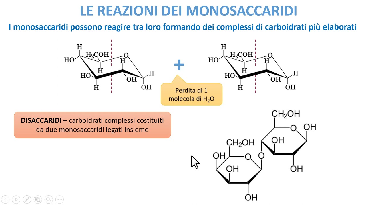 I CARBOIDRATI